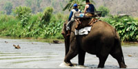 Elephant riding - Pai river