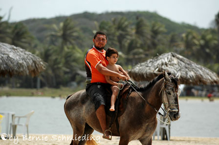 Horse Riding