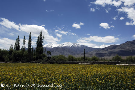 Stok Kangri (6121m)