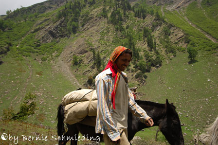 Nomad