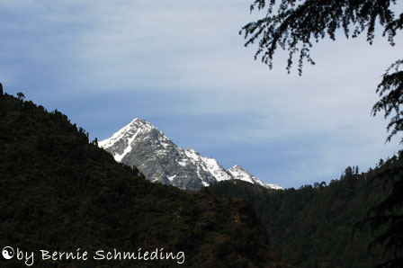 View from Bhagsu