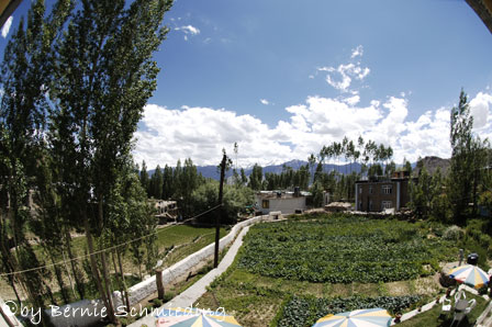 Sia-La Guesthouse - Mountainview