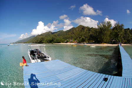 Moorea Sunset