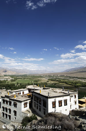 Spituk gompa