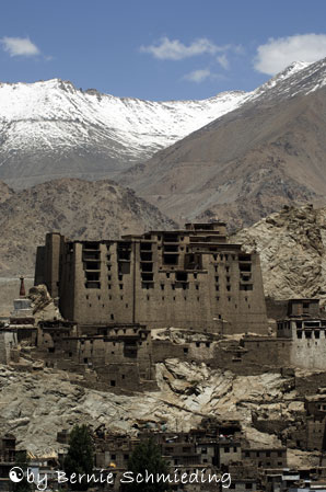 Leh Palace
