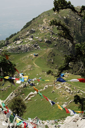 Triund